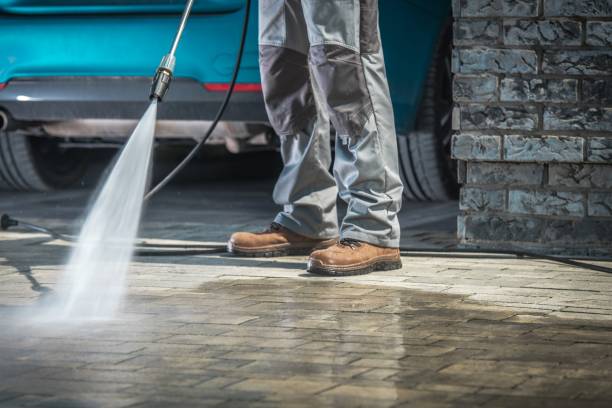 Best Oil Spill Cleanup  in La Fayette, AL